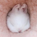 [댓글부탁해] <b>아이라인</b> 추천 좀...