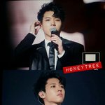 [인피니트] 나도모르게 <b>저장</b> 꾹 누른 나무<b>사진</b>