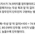 [댓글부탁해] 내<b>두상</b> 단두형인지 장두형인지 아는법