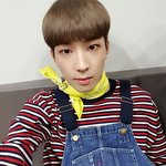 [세븐틴] 요즘에 원우 보면 <b>오버</b>와치만 생각나