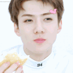 [EXO] 세훈이 목소리 <b>중독</b>되지않음?