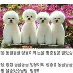 <b>도랏</b>맨?정신차려맨~