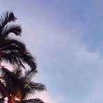 [세븐틴] 로즈쿼츠 세레니티는 우리 공식색이라서 예쁜것두 있지망