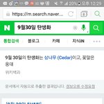 [EXO] 나는 삼나무임