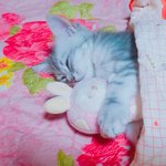 <b>난쟁이</b> 보고싶당..