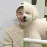 [EXO] 오세훈 <b>보셈</b>