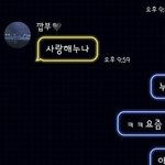 [세븐틴] 사랑해 <b>누나</b>
