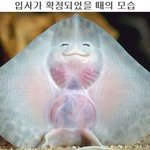 [꼭조언부탁] <b>은행</b>을 그만 두고싶습니다..