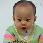 [고양이] 372일째 육아육묘