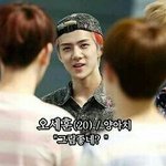 [팬픽] ㅂㄷ)ㅅㅍ주의)아 미친 이9인 다 봤는데