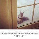 [시우민] <b>우리집</b>에도 시우민 왔음 좋게따ㅠㅠ