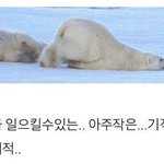 너희 럽실 아는애 있니