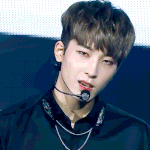 [세븐틴] ㅅㄷ 캐럿들 잠 못 이루는 밤이지만