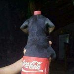 럽<b>실소</b> 어디서봐??