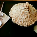 [ㅠㅠ] 갑자기설빙먹고싶어...<b>슈발</b>