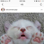 [댓글부탁해] 더 충격적인일 고르기