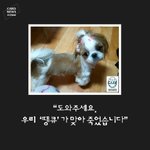 [공미니] <b>혐오</b>] 싸이코페스 남자친구