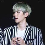 [EXO] 해라병<b>신아</b>
