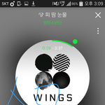 [방탄소년단] 홈마들문제