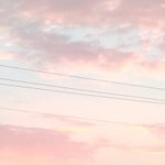 [<b>빵</b>야<b>빵</b>야] 배경 주워가 !!><
