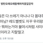 [댓글부탁해] 충격적인 방탄소년단 팬덤 <b>아미</b> 수준.jpg