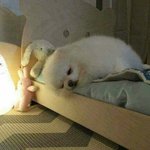 스카이<b>폰</b>으로 살거같은데 어떡함