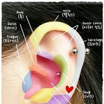 귀뚫어<b>본판</b>녀ㅠㅠㅜ!!!