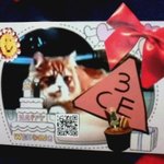 [요술카페] 삼시세끼냥의 겨울놀이