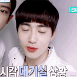 [EXO] 바가지 머리한 토끼<b>왕자</b>