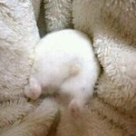 진짜 좋은 팝송 추천 좀!