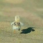 [인피니트] +++)머글인데요!