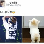 [시우민] 시우민 <b>뒷태</b> 환상적