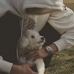 [EXO] <b>내</b> <b>남친</b> 강아지임