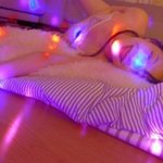 설리있잖아 마릴린<b>먼로</b>랑..