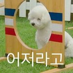 [EXO] 라띤<b>이</b> ㅂㅅ같은<b>짓</b>을할땐 <b>이</b>짤써