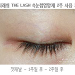 [] 속눈썹 관리 하고 싶은분 보세요