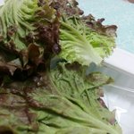 음식점에서 이래도 되나요?