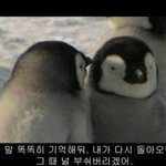 [댓글부탁해] 얘들아 웃긴짤/귀여운짤/<b>병맛</b>짤 공유하자~~