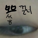 섀도우어떤게 나 ?