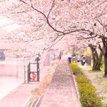 [드루와] 이 중 어떤 <b>사진</b>이 네 <b>취향</b>이니?