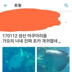 [댓글부탁해] ㅋㅋ트위터하다 <b>판</b>녀만남ㅋㅋㅋㅋ