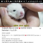 [드루와] 유튭 듬아님 아는 사람?