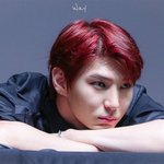 덕질을 끊을 수가 없는 男<b>돌</b>