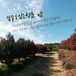 친구랑 같이 하는 취미 <b>캘리</b>