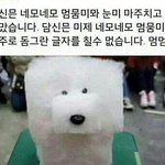 눈에 지방많은데 <b>쌍</b><b>액</b>하는판녀있어?
