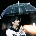 [방탄소년단] 정국 미자 탈출 때