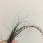 얘들아 이거 <b>악성</b>곱슬이야?