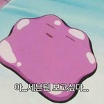 [세븐틴] 이건 그냥 내 궁예?일 뿐인데