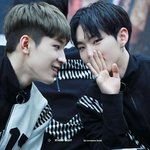 [세븐틴] 이짤 활용도<b>오지</b>넼ㅋㅋㅋㅋㅋㅋ