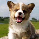 <b>혼날때</b> 웃는버릇ㅋㅋㅋㅋ